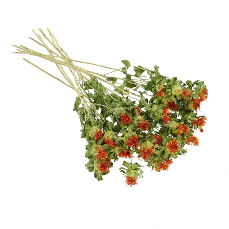 Suszony krokosz barwierski (Carthamus) - bukiet - suszone kwiaty