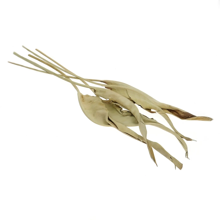 Dried natural strelitzia - 5 pcs
