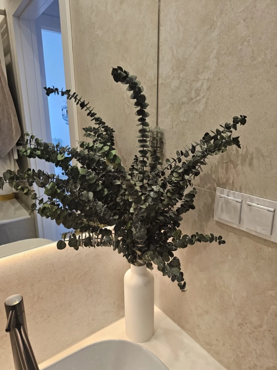 Stabilizowany eukaliptus baby zielony - bukiet