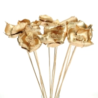 Dried golden Palm Cup