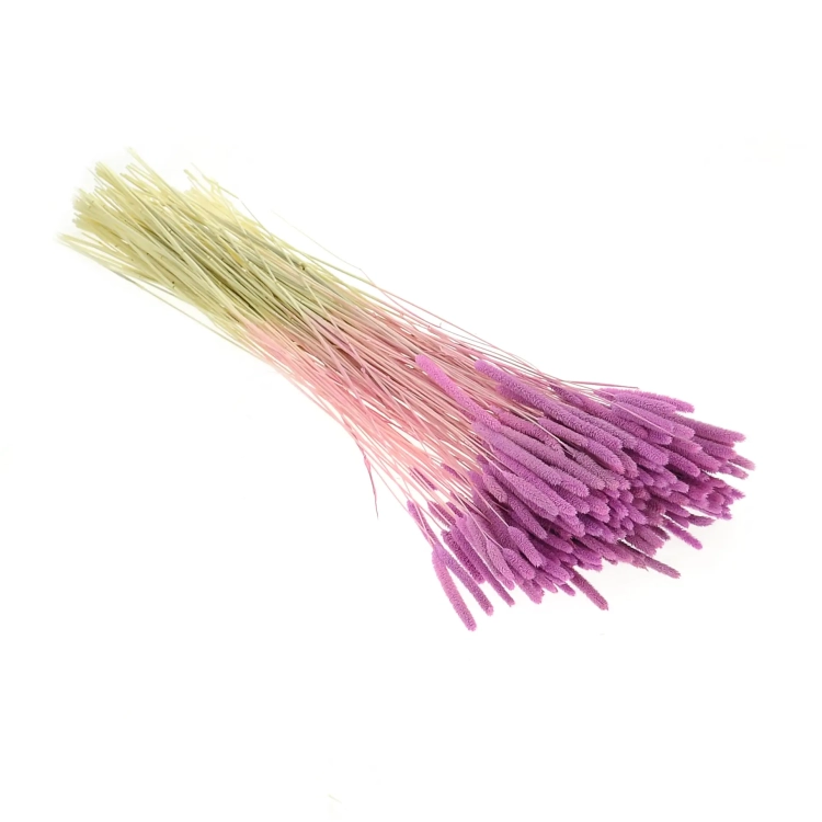 Suszona tymotka (Phleum) wrzosowa - bukiet