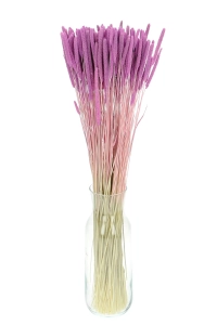 Suszona tymotka (Phleum) wrzosowa - bukiet