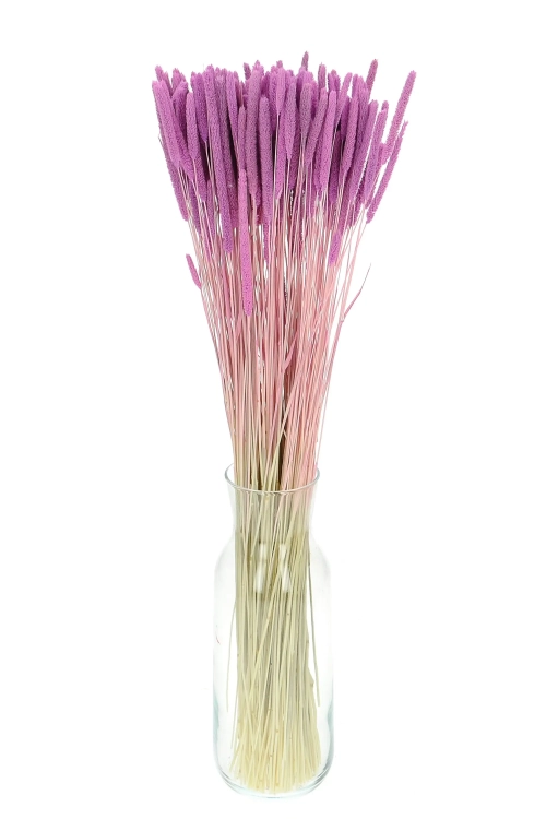 Suszona tymotka (Phleum) wrzosowa - bukiet