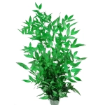 Ruscus (Mäusedorne), grün - Strauß, 5 Stk. - Trockenblätter 