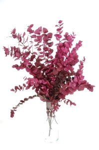 Preserved Eucalyptus Stuartiana Pink - bunch