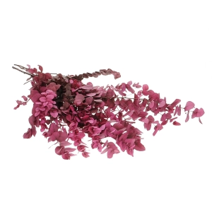 Preserved Eucalyptus Stuartiana Pink - bunch