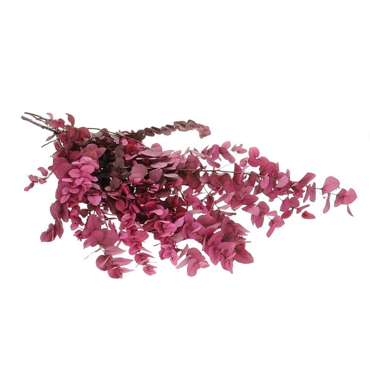 Preserved Eucalyptus Stuartiana Pink - bunch