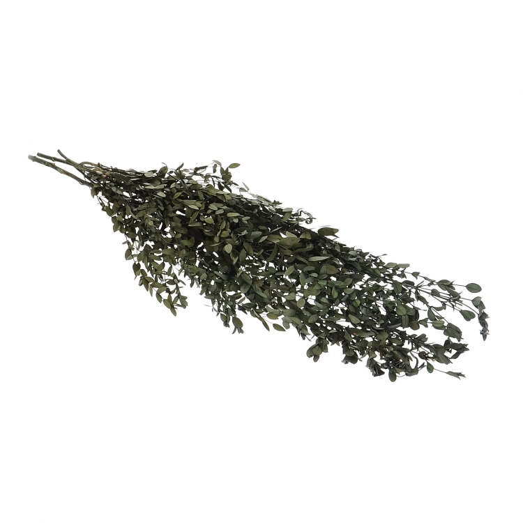 Stabilizowany eukaliptus parvifoglia - bukiet