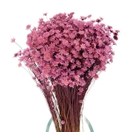 Dried lilac Glixia - bunch - dried flowers
