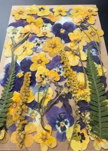 Pressed flowers - set with pansies ~40 pcs