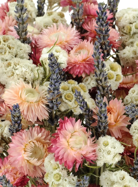 Dried flowers bouquet - Grace