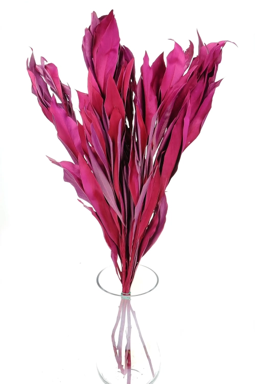Dried decorative fuchsia leaves - 5 pieces