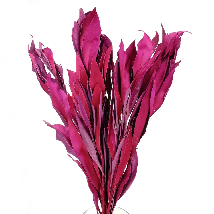 Dried decorative fuchsia leaves - 5 pieces