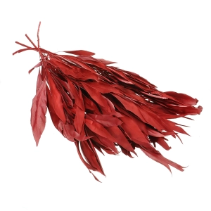 Dried decorative red leaves - 5 pieces