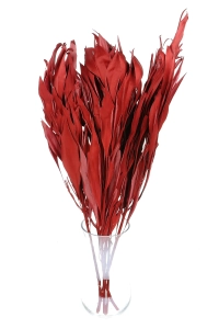 Dried decorative red leaves - 5 pieces