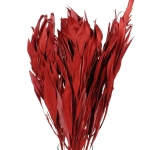 Dried decorative red leaves - 5 pcs