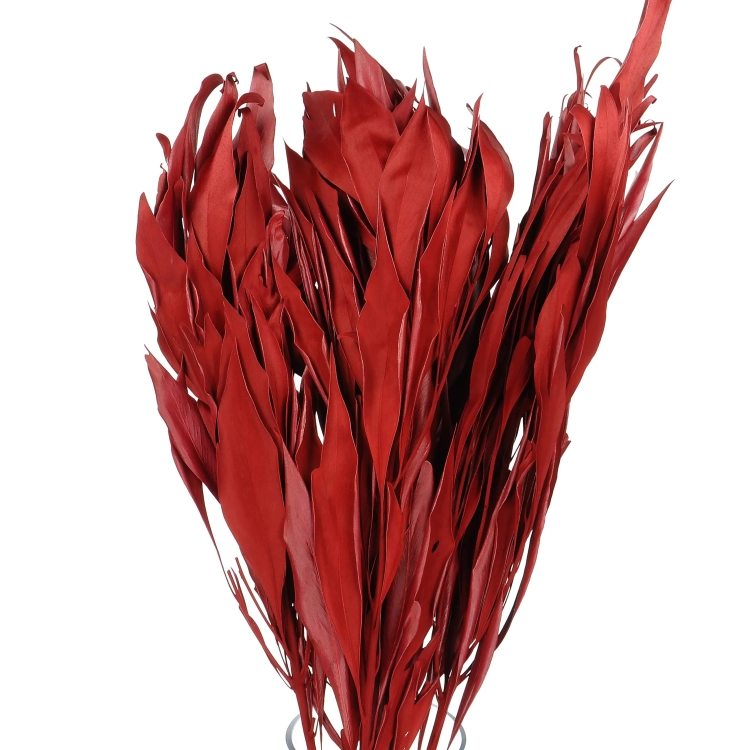 Dried decorative red leaves - 5 pieces