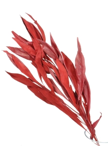 Dried decorative red leaves - 5 pieces