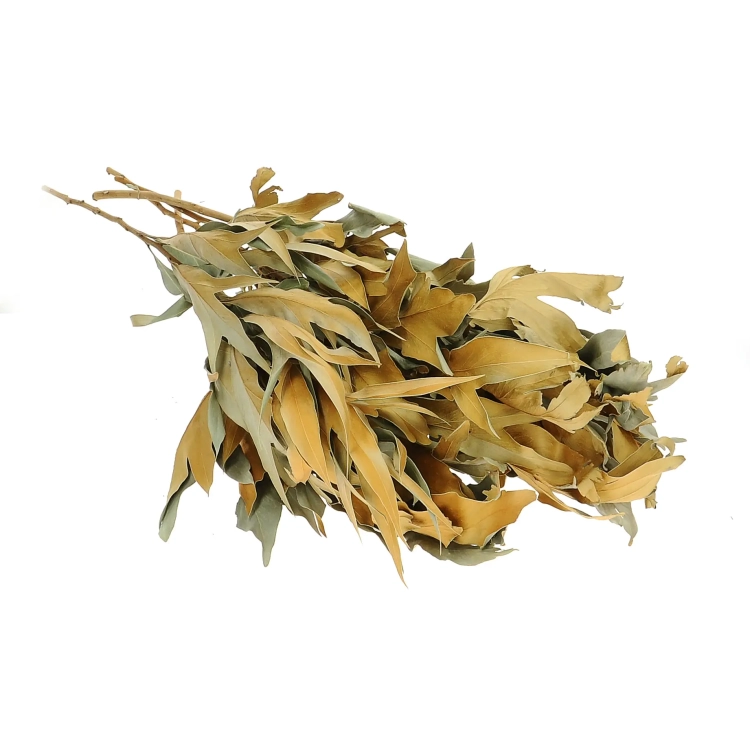 Dried decorative leaves, natural - 5 pieces