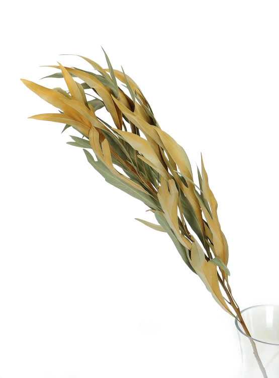 Dried decorative leaves, natural - 5 pieces