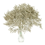 Dried natural Limonium tataricum - bunch - dried flowers