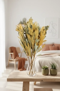 Dried decorative leaves, natural - 5 pieces