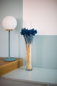 Phalaris blau - Kanariengras ~80 Stück