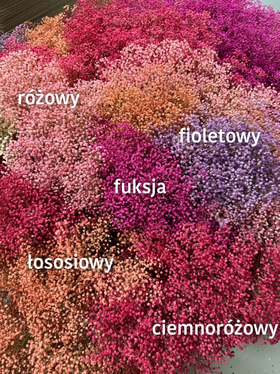 Stabilizowana gipsówka ciemnoróżowa - bukiet - suszone kwiaty