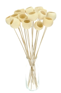 Dried bleached Bell Cup