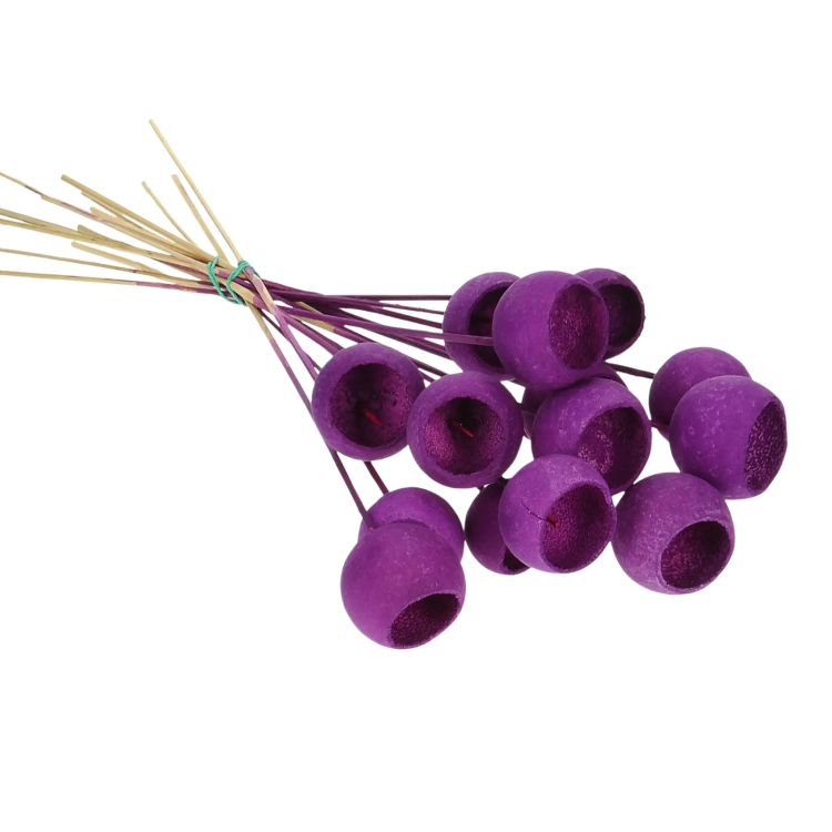 Dried purple Bell Cup