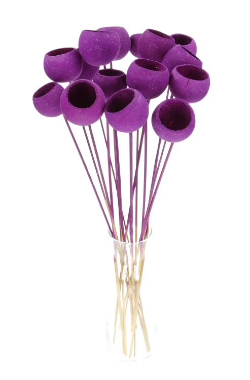 Dried purple Bell Cup