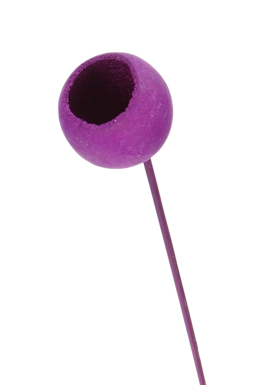 Dried purple Bell Cup
