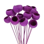 Dried purple Bell Cup