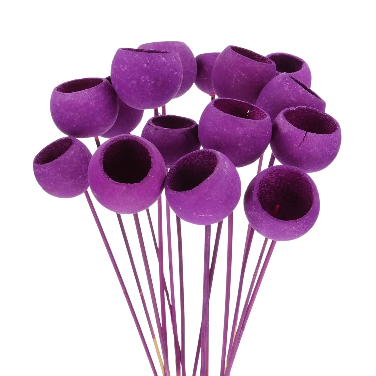 Dried purple Bell Cup