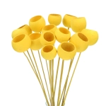 Dried yellow Bell Cup