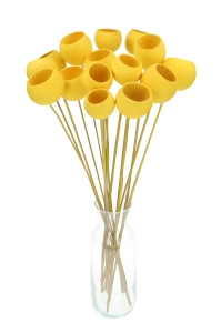 Dried yellow Bell Cup