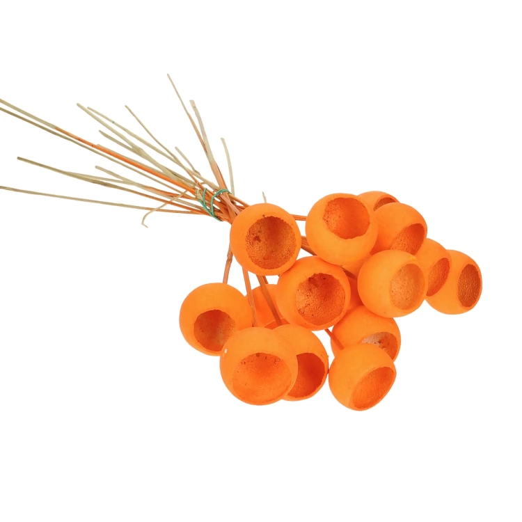 Dried orange Bell Cup