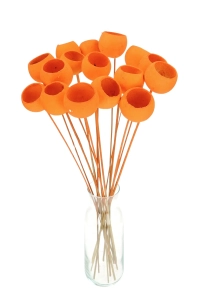 Dried orange Bell Cup