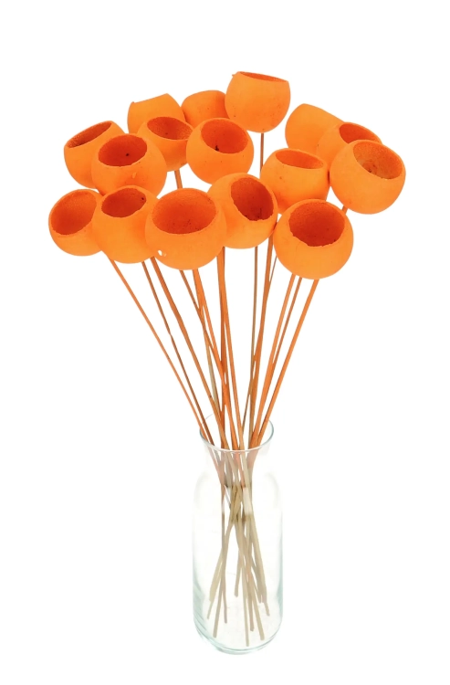 Dried orange Bell Cup