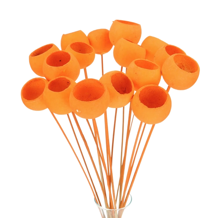 Dried orange Bell Cup