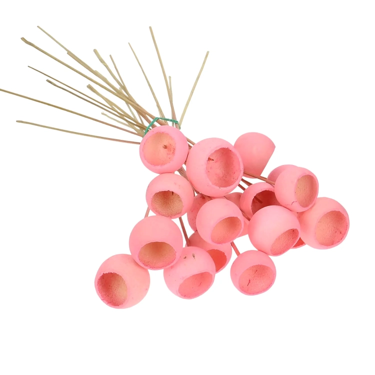 Dried pink Bell Cup