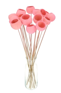 Dried pink Bell Cup