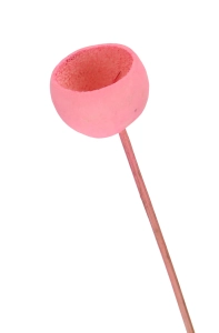 Dried pink Bell Cup