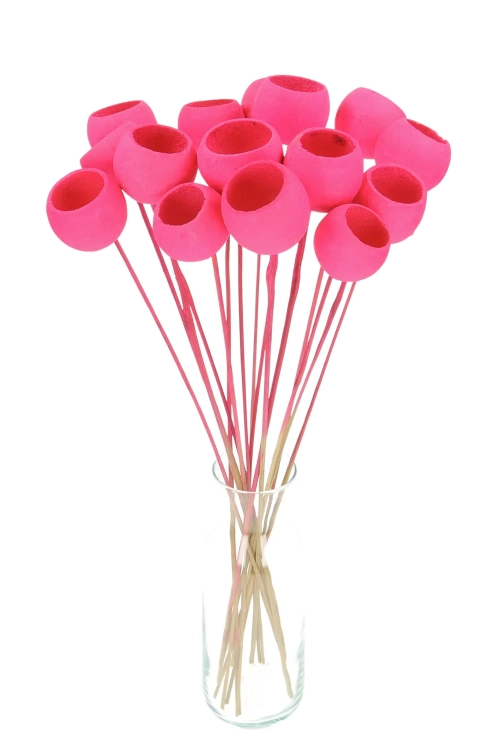 Dried fuchsia Bell Cup