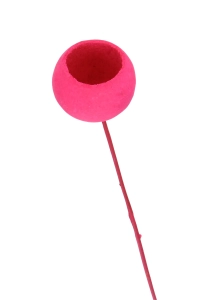 Dried fuchsia Bell Cup