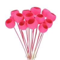 Dried fuchsia Bell Cup