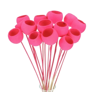 Dried fuchsia Bell Cup