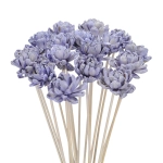 Shola flower - lilac english rose - stem