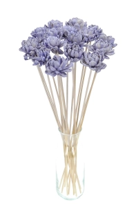 Shola flower - lilac english rose - stem