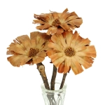Dried Protea supercuts - stem - dried flowers